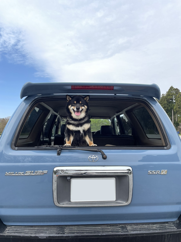愛犬