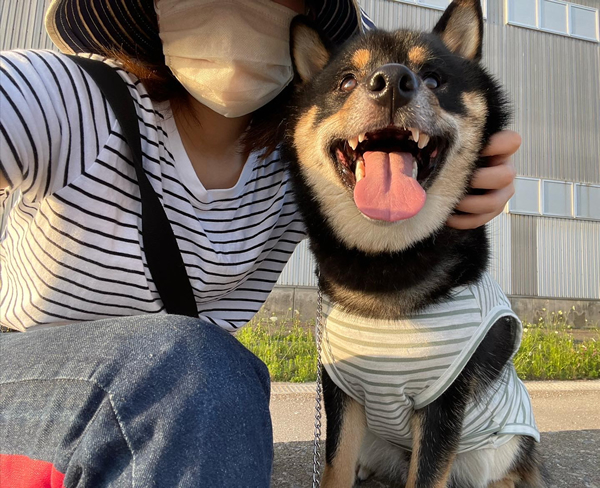 愛犬