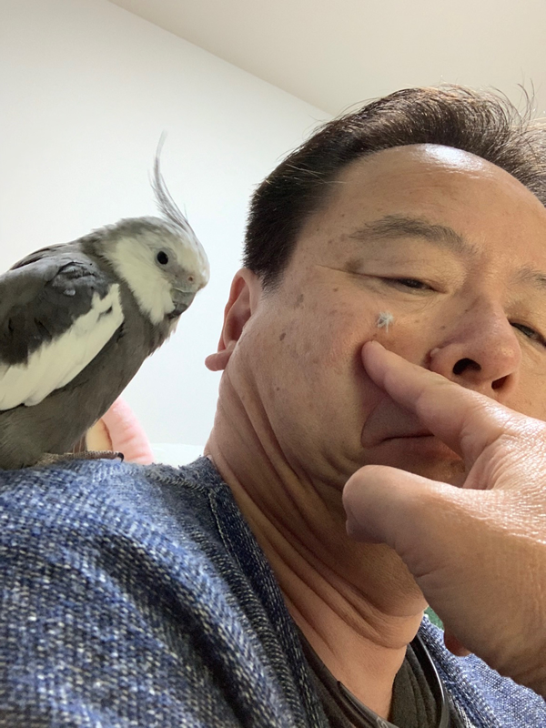 ペット