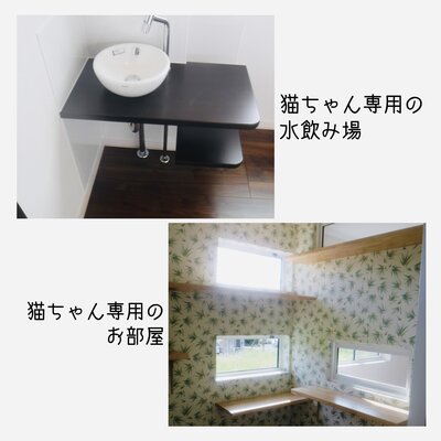 大切な家族の一員、ペットと一緒に暮らすお家