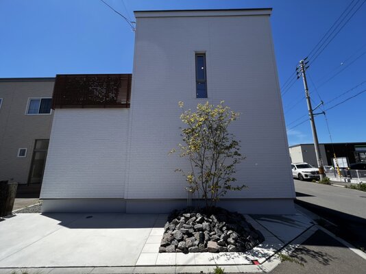 【函館・北斗・七飯の住宅会社】シンボルツリー