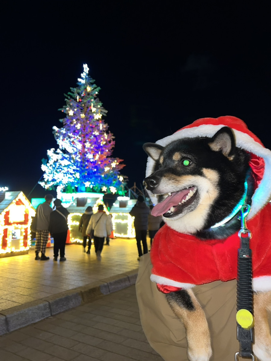 IMG_9005.jpeg