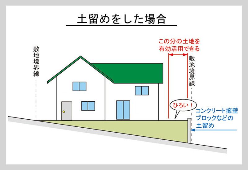 dodome-image02.jpg