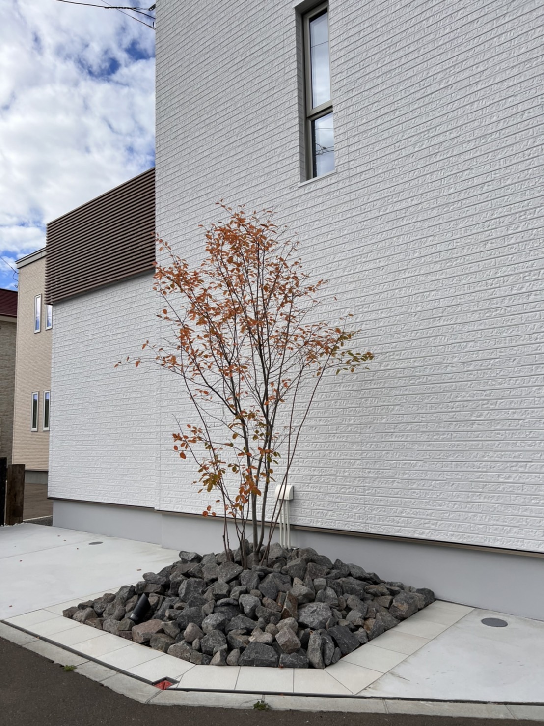 シンボルツリー 家づくりのヒントが見つかるブログ 辻木材 ライムハウス 函館 北斗 七飯の新築 戸建ての住宅会社